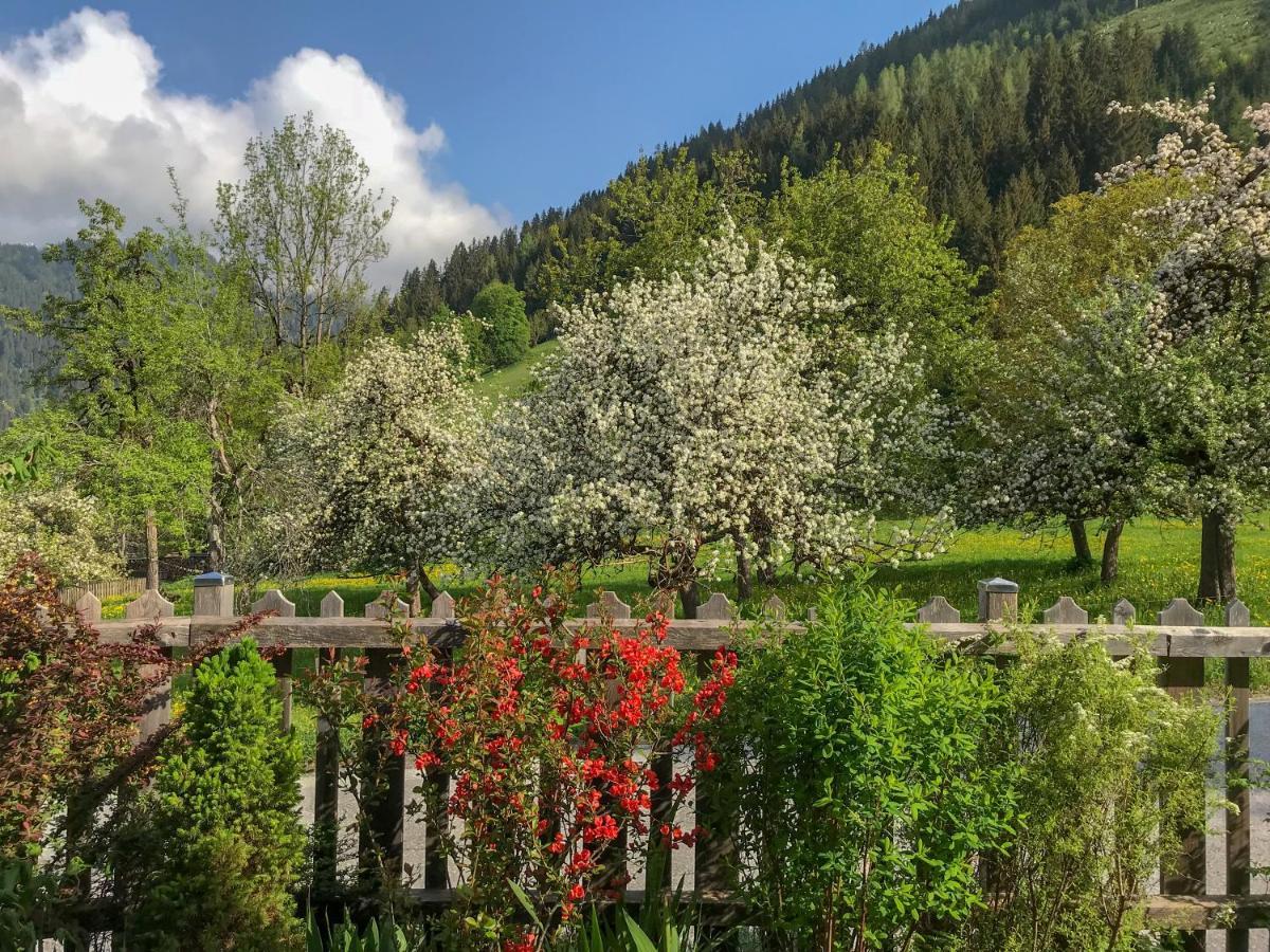 Reinthalers Daire Werfenweng Dış mekan fotoğraf